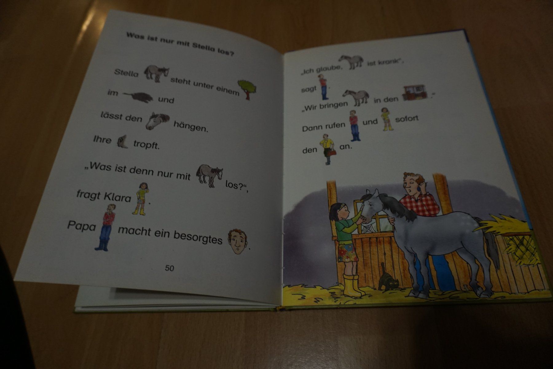Libri: Kunterbunte Ponygeschichten, Kinderbuch! – Usato da Zürich venduto da einalemjena 3