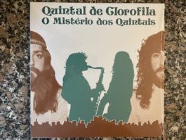 S1658/Quintal de Clorofila – O Mistério Dos Quintais