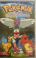 POKÉMON (L'ÉQUIPE S'AGRANDIT!)