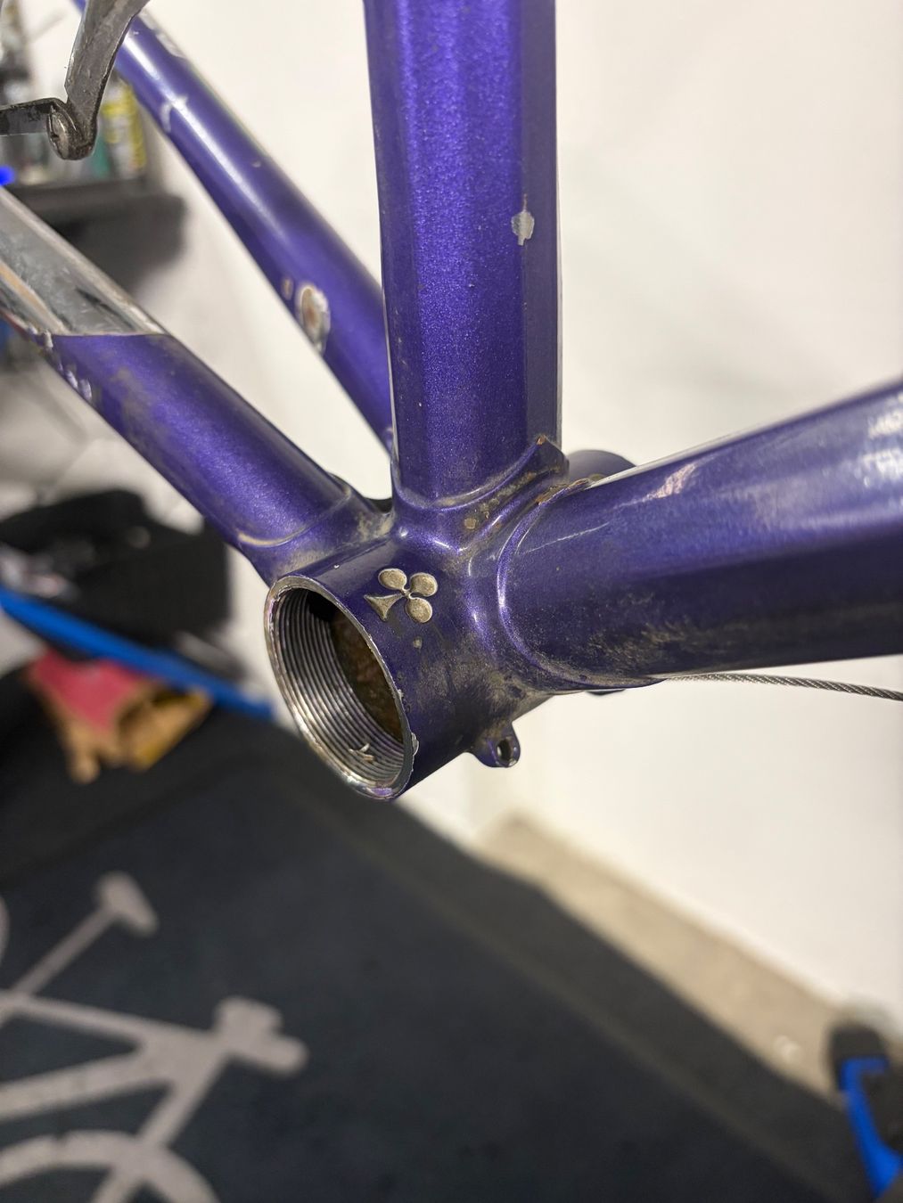 Colnago Ersatzteile: Colnago Rahmenset – Gebraucht aus Kloten von Nimmmich 4