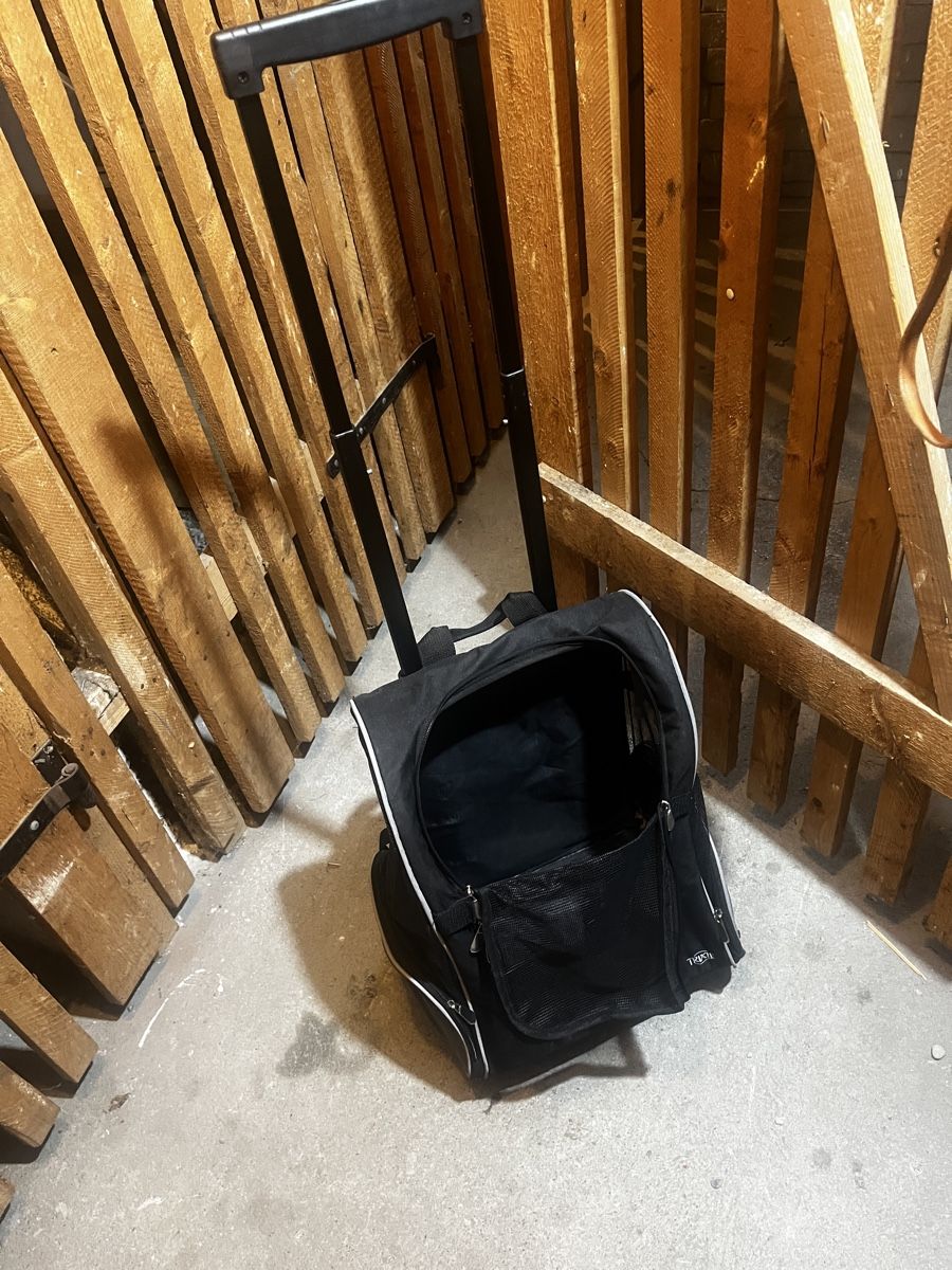 Valigie & Borse: Trolley für Hund – Usato da Bülach venduto da NatalliaB-K 2