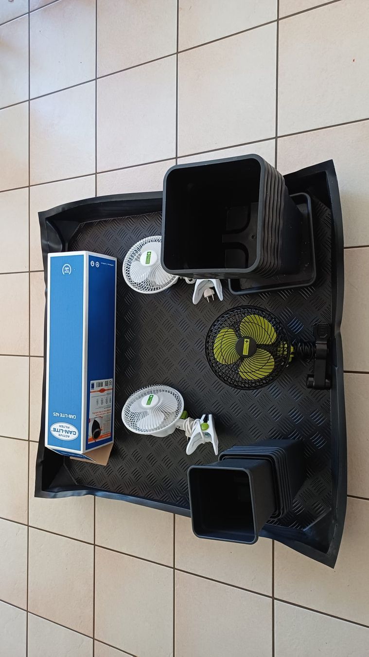 Altro: Growbox Komplettset – Usato da Ziefen venduto da Lina_g4 3