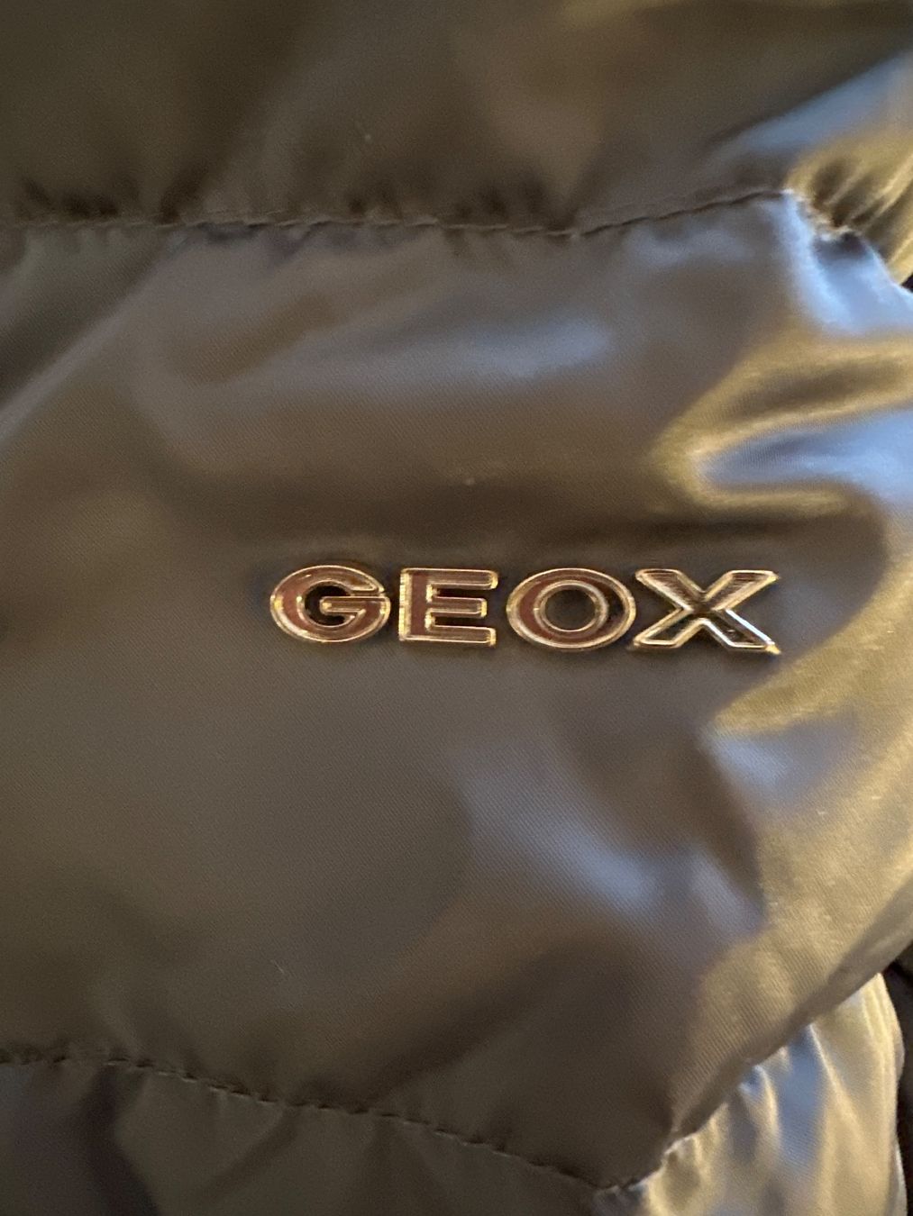Geox Giacche: GEOX Daunen Jacke 36 – Usato da Therwil venduto da jas_vpt8 5