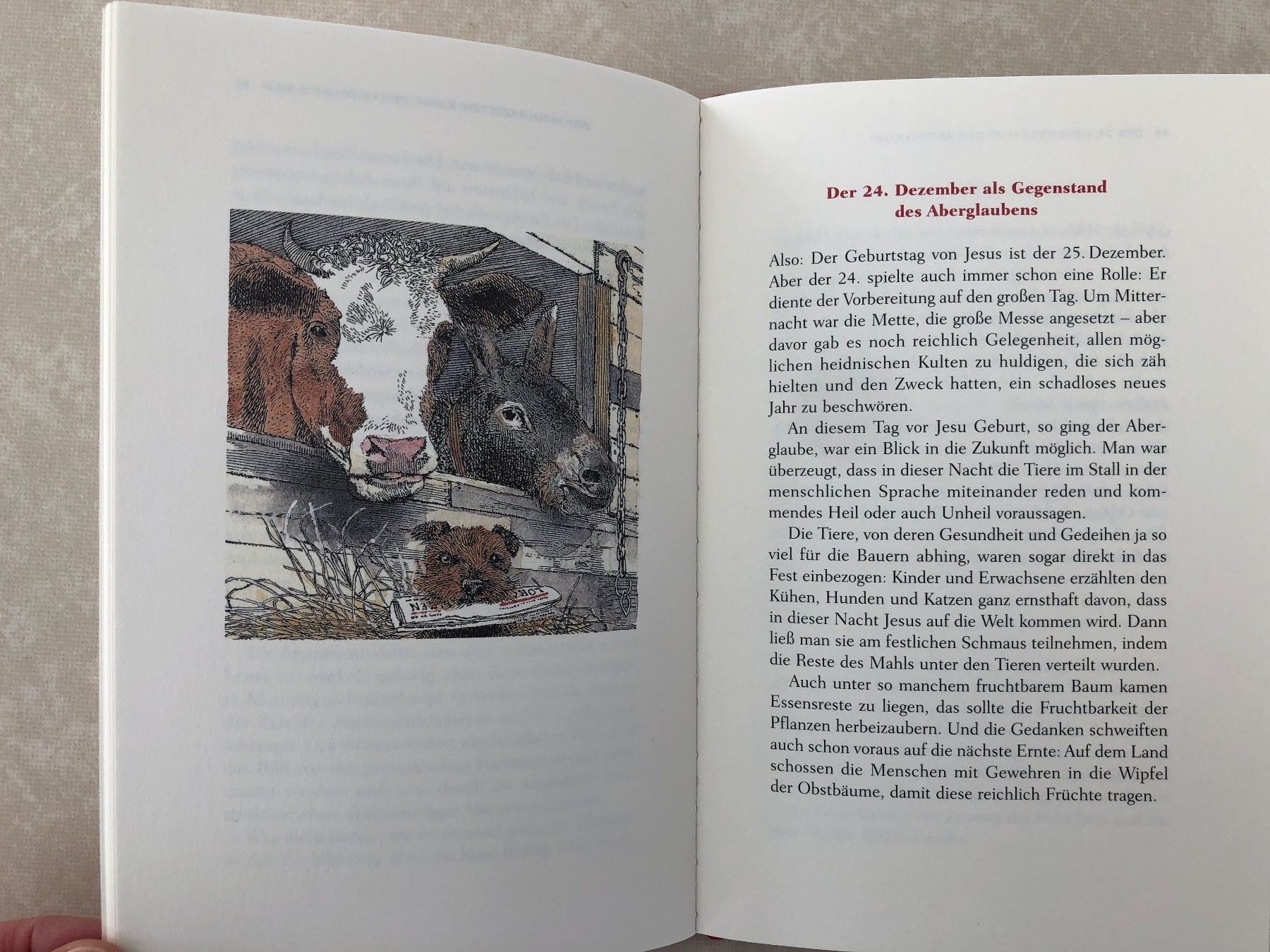 Libri: Buch "Warum feiern wir Weihnachten?" – Nuovo (secondo la descrizione) da Balzers venduto da Kubus 3