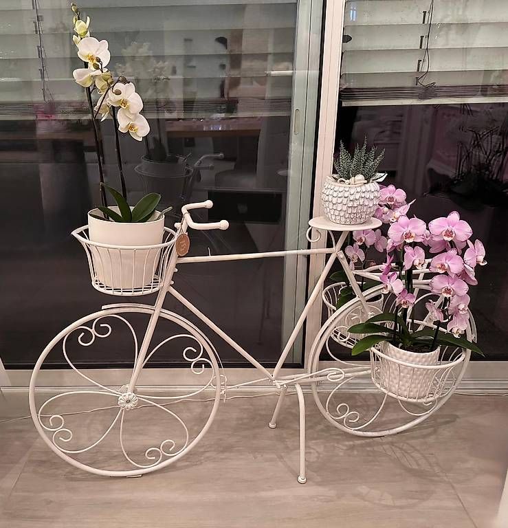 Alle Dekorationen: Blumenfahrad Neu  das ideale Geschenk – Gebraucht aus Buttisholz von Baschi70