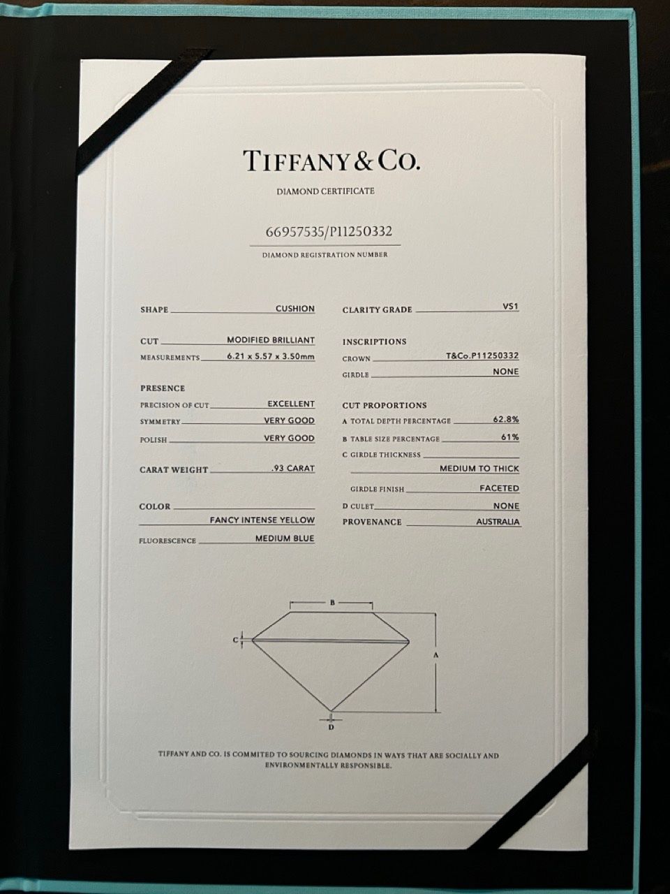 Tiffany & Co. Anelli: Tiffany True (Verlobungsring) – Nuovo e nell'imballaggio originale da Basel venduto da jihn 1