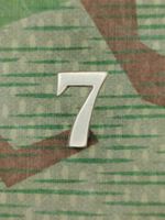 Ord. 1869–1898 Nummer 7 zu Tschako, Silber, Variante 1