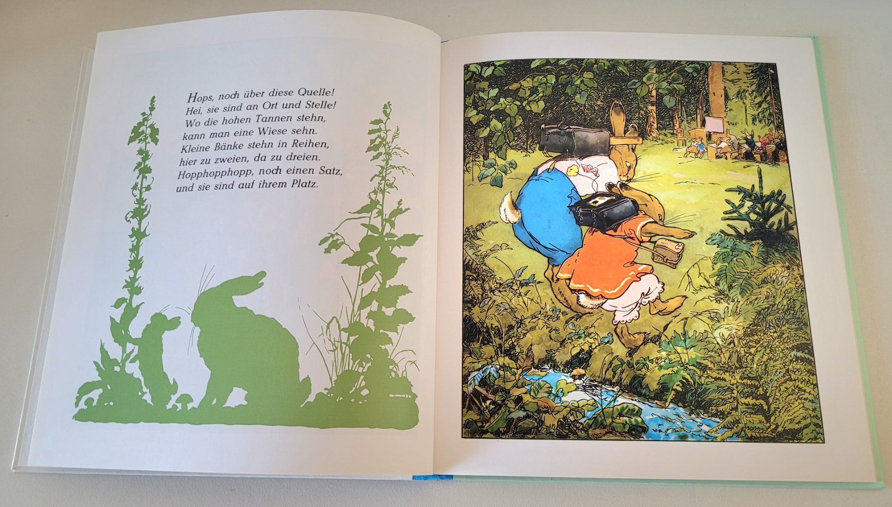 Libri: Die Häschenschule – Usato da Oberuzwil venduto da rtr_wp6m 1
