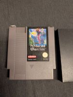 Isolated warrior NES