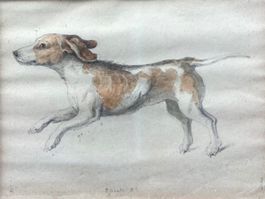 Charles Felix Maillet DUBOULLAY  Zeichnung von eine Hund