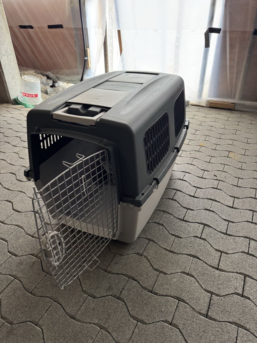 Gabbie, trasporto & Sicurezza: Grosse, graue Hunde-Transportbox mit Ro – Nuovo (secondo la descrizione) da Pfaffnau venduto da Jkay23