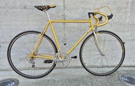 Vintage Golden Arrow Rennvelo