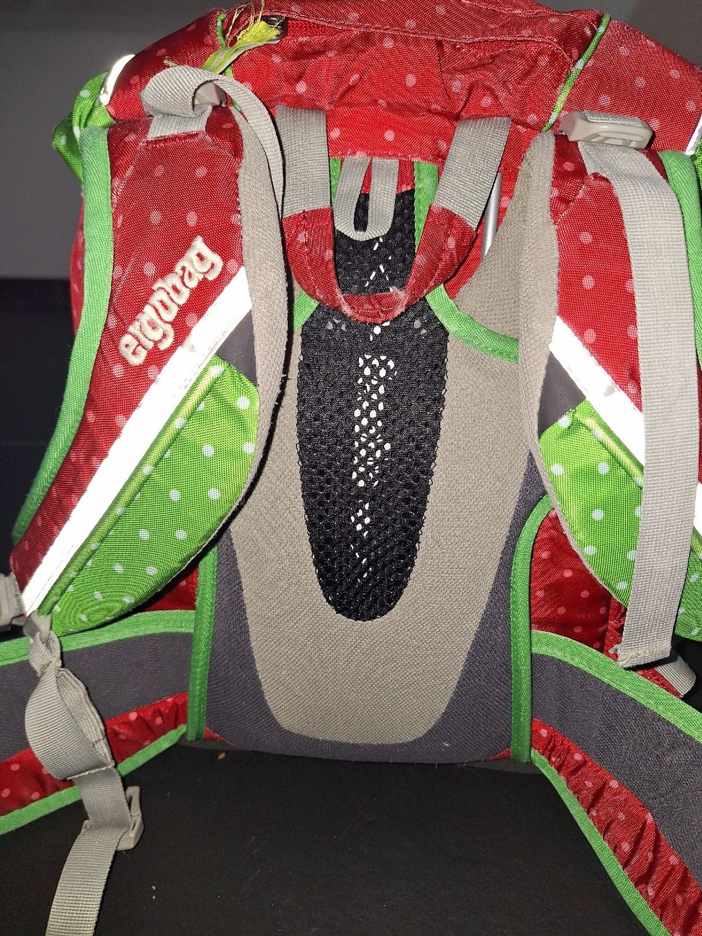 Ergobag Kindertaschen: Ergobag Set Schulranzen, Schulthek – Gebraucht aus Flums Hochwiese von pfadan 3