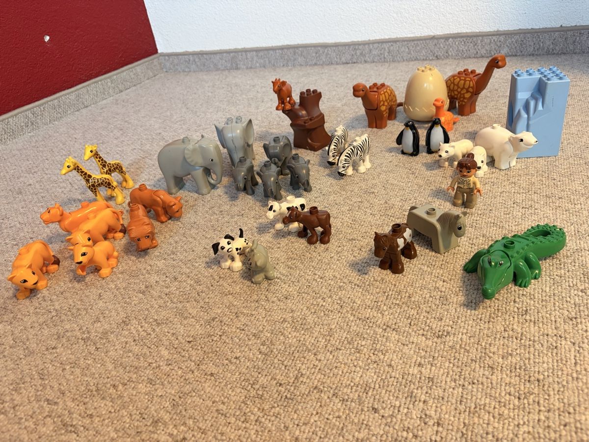 Lego Spielzeuge: LEGO DUPLO Tiere/ Einzelteile  – Gebraucht aus Istighofen von sax_p65z 5