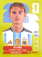 Carte FIFA World Cup 2026 ARG 14