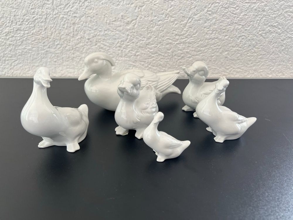 Enten Sammlung (Gebraucht) in Wildegg für CHF 1 – mit Lieferung auf ...