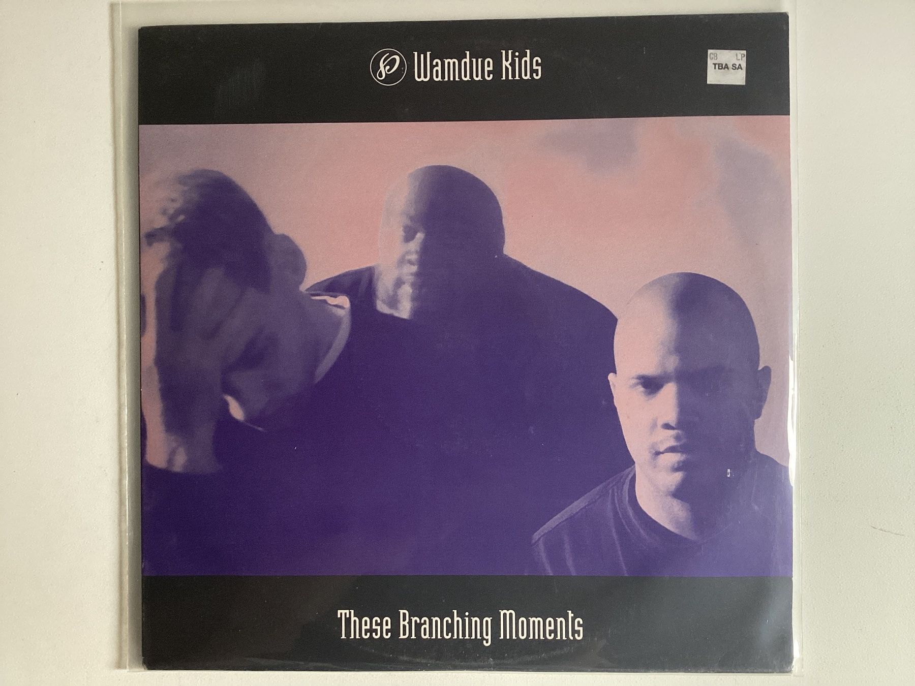 Dischi in vinile: Wamdue Doppel-LP - These Branching Moments – Usato da Gutenswil venduto da Hamzian