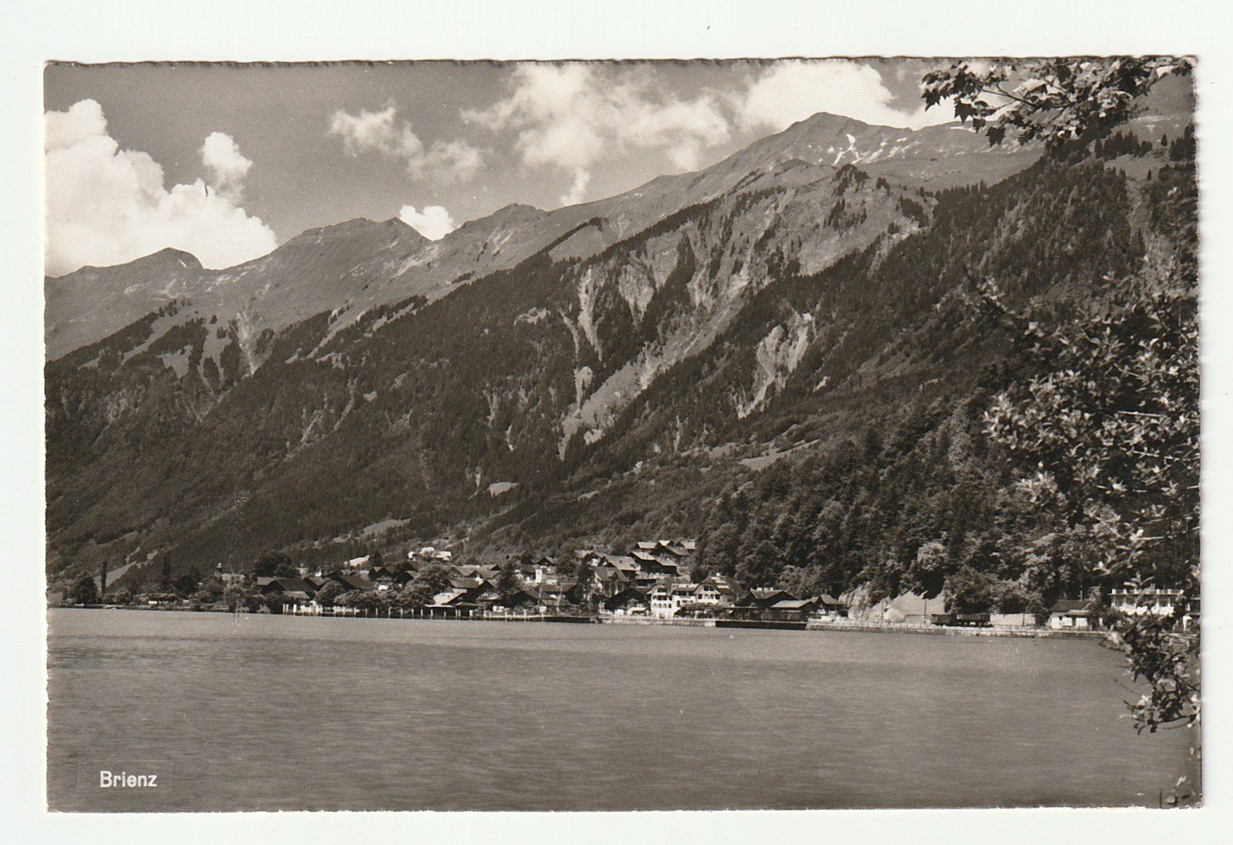 Cartoline postali: Ansichtskarte Brienz Berner Oberland 1961 – Usato da St. Gallen venduto da Ricardo_Deals