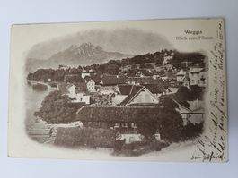 Ansichtskarte Weggis Blick zum Pilatus gelaufen 1900 Box1