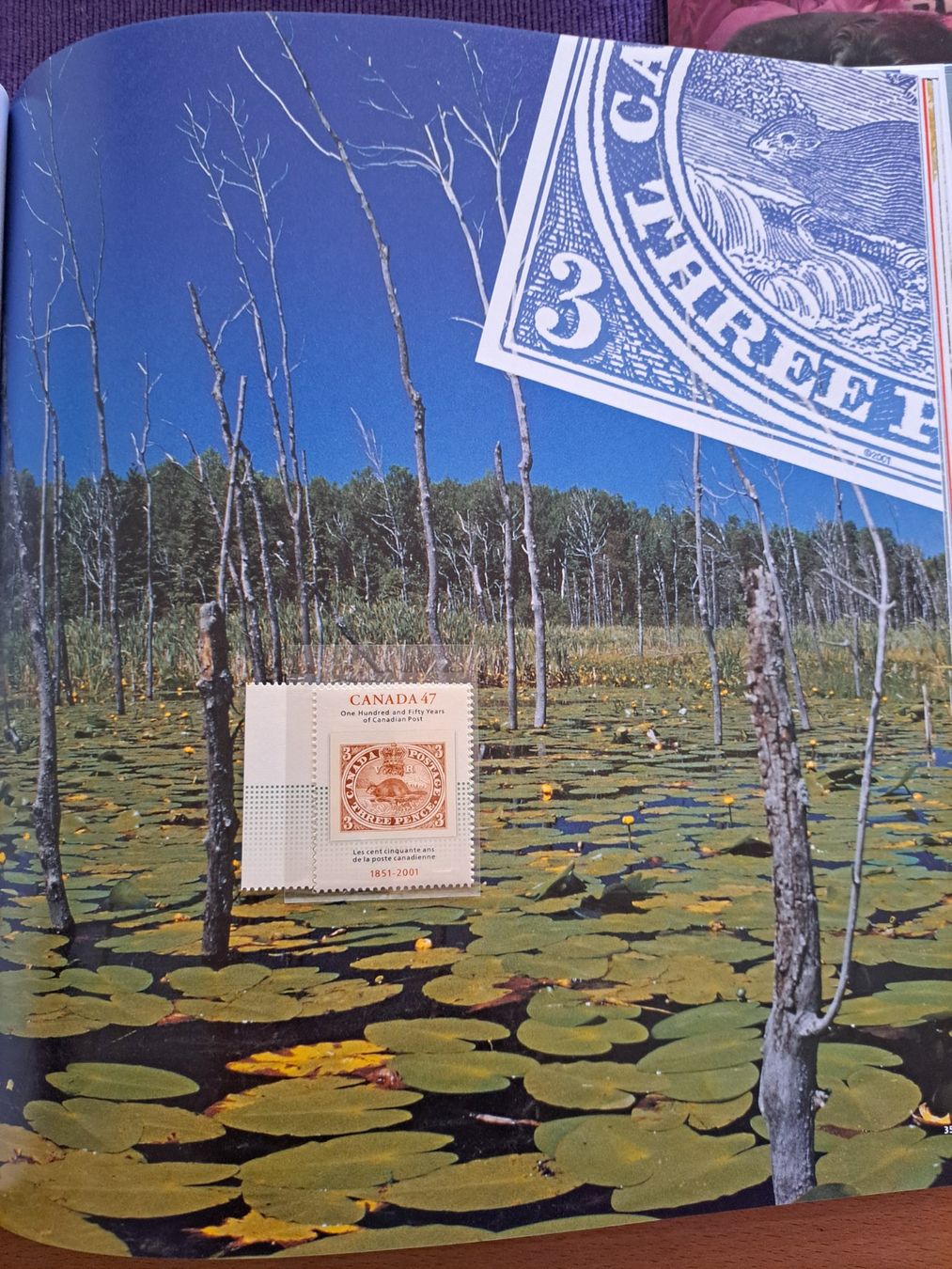 Alben: 3 Album Canada Bücher – Gebraucht aus Effretikon von Girlen14 7