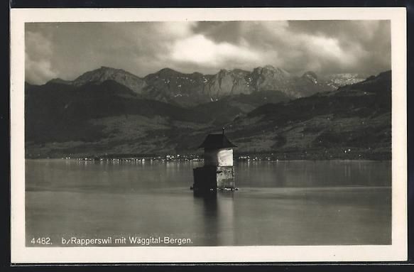 Cartoline postali: Rapperswil, Panorama mit Wäggital-Berge – Usato da Berlin venduto da bartko-reher