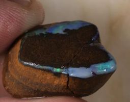 Queensland Opalton Rohopal 50.00Cts.