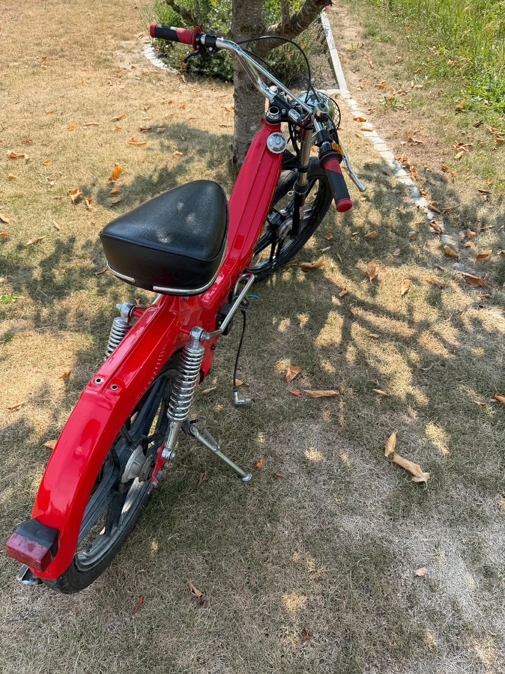 Puch Ciclomotori: Puch Super Maxi LG1 – Difettoso da Boswil venduto da EMS09 3