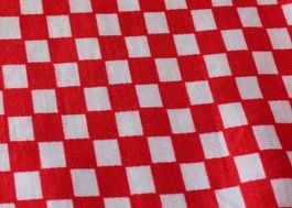 Stoff kariert rot / weiss