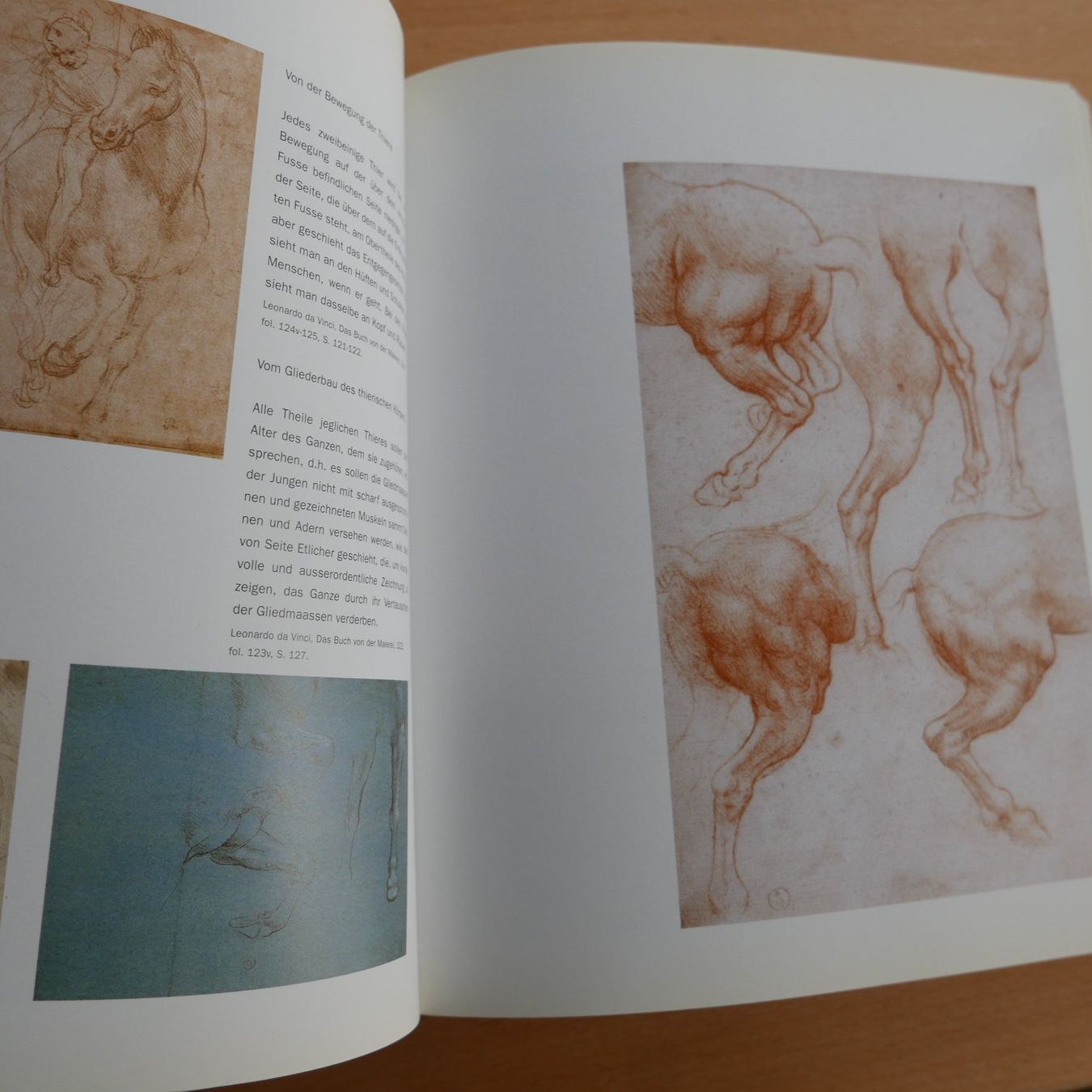 Livres: Leonardo da Vinci – D'occasion à Rotkreuz par nigal 3