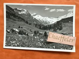 1960 Fextal im Ober-Engadin. Blick auf Piz Tremoggia u. 