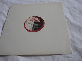 Rare Techno Vinyl - Peacefrog rec - Lodger 303 trance sexual