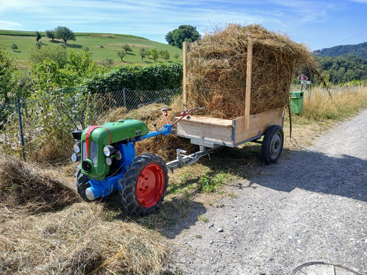 Rapid Tutte le macchine: Rapid S Super mit Anhänger – Usato da Nesslau venduto da PuchDriver07 6