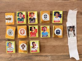 Panini WM 2026 - 479 Bilder (keine Doppelten)