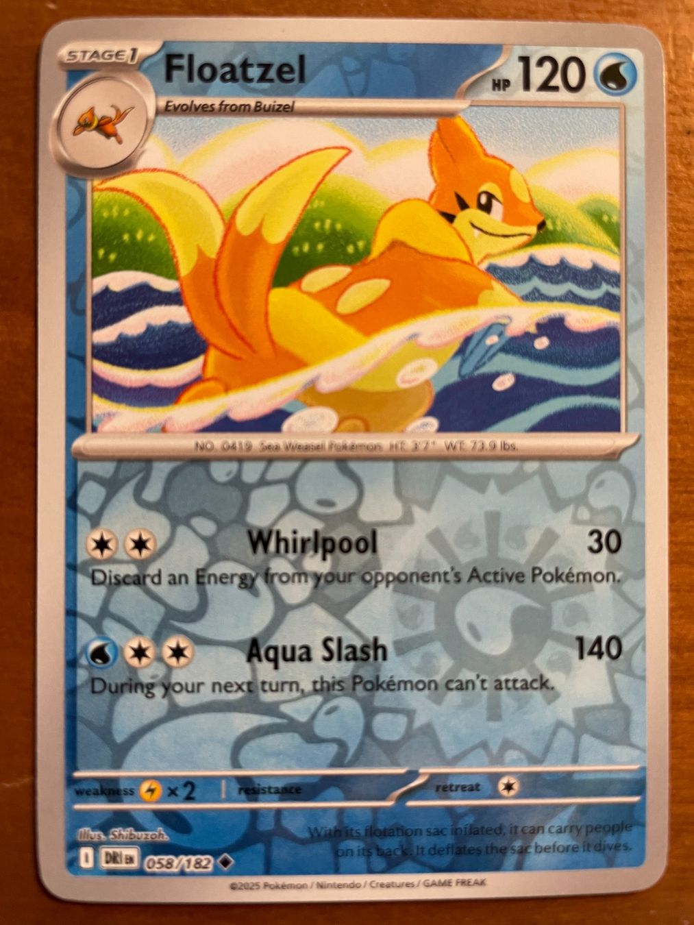 Pokémon Carte collezionabili: Pokemon Floatzel Reverse (Versand gratis) – Nuovo (secondo la descrizione) da Chur venduto da Angerson