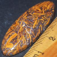 Cabochon L-1421 – Elefantenhaut Jaspis – 41x15mm
