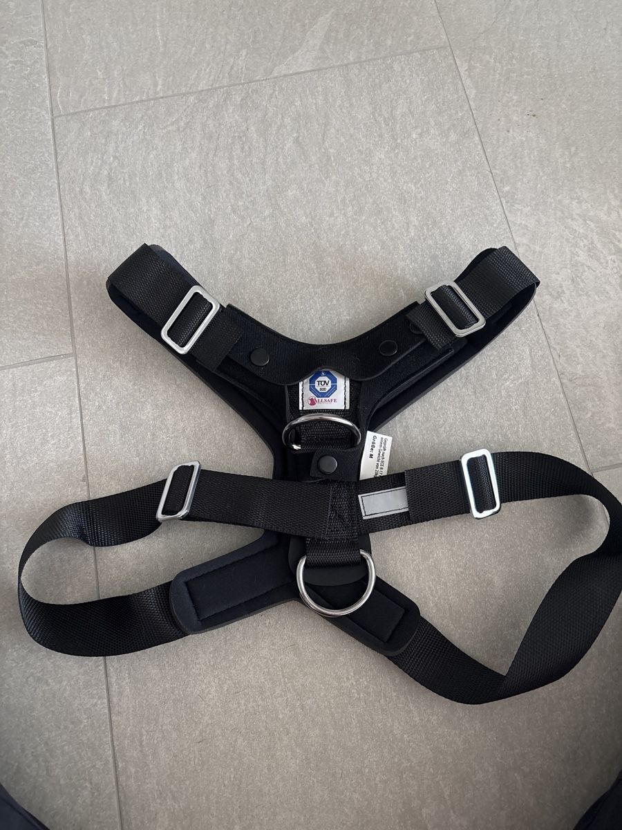 Attrezzatura da arrampicata: Allsafe Hunde Sicherheitsgurt, Größe M – Nuovo (secondo la descrizione) da Hildisrieden venduto da loz_q7dz 3