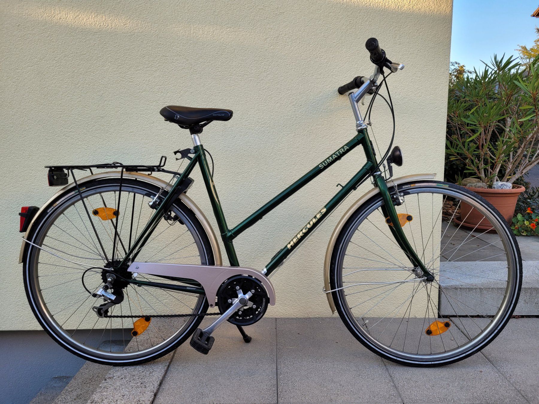 Velo Fahrrad 28 Zoll Damen Hercules Sumatra dunkelgrn (Gebraucht) in  Wiesendangen fr CHF 285  nur Abholung auf Ricardo kaufen