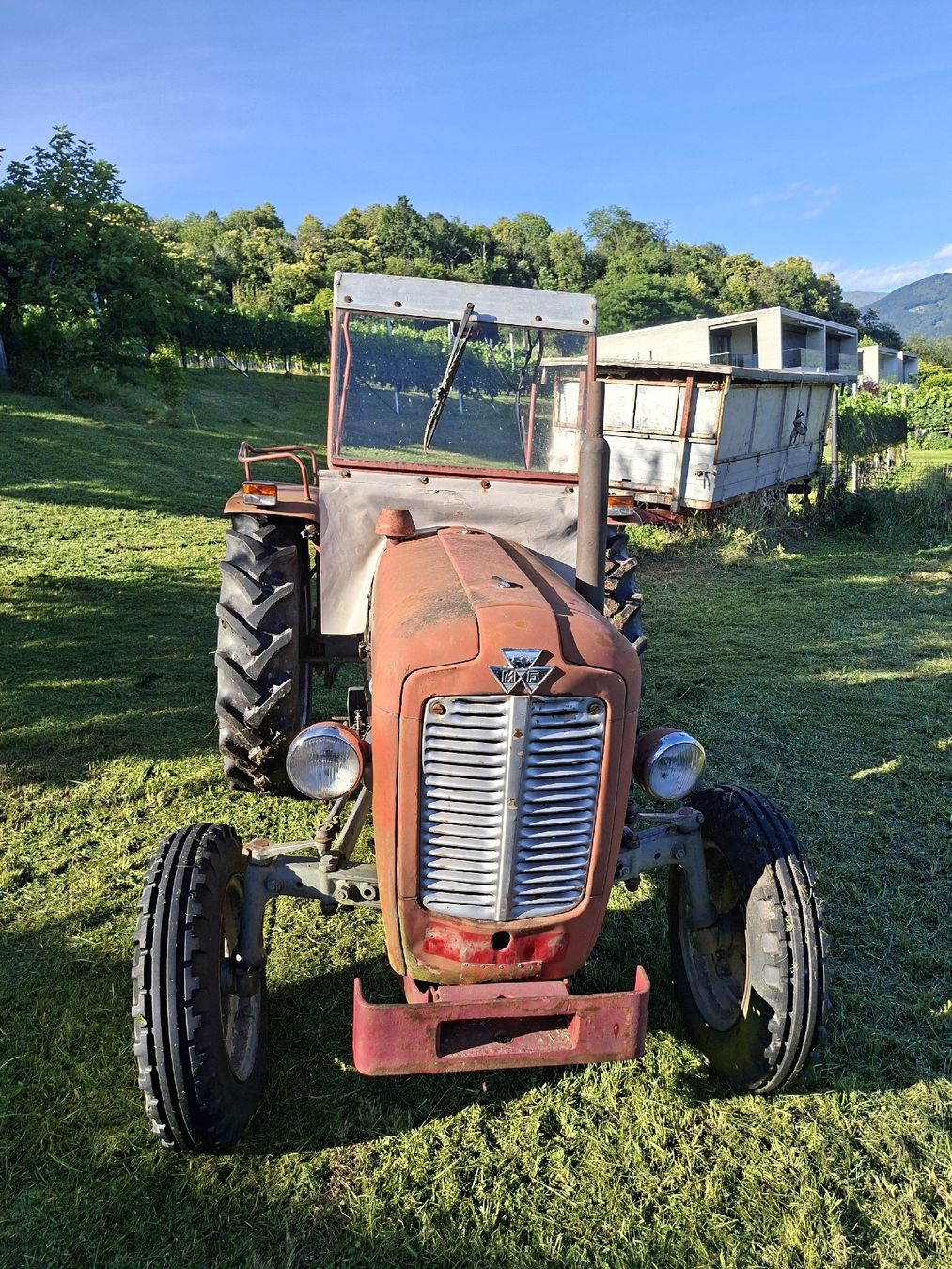 Massey Ferguson Trattori: MASSEY FERGUSON 35X – Usato da Comano venduto da agr_tyf8