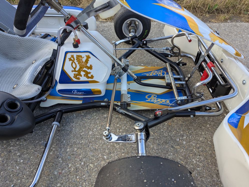 Karts: Praga Kart ohne Motor – D'occasion à Zauggenried par babuk 9