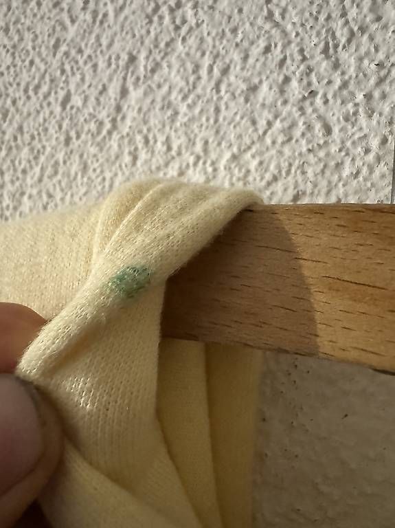Pullover & Sweatshirts: Patta Hoodie  – Gebraucht aus Davos Wiesen von chr_5lyx 3