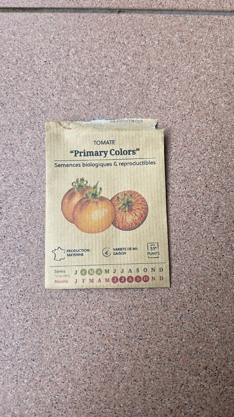 Piante & sementi: Tomaten Setzling  – Usato da Oberwil (Dägerlen) venduto da Green_lady 1