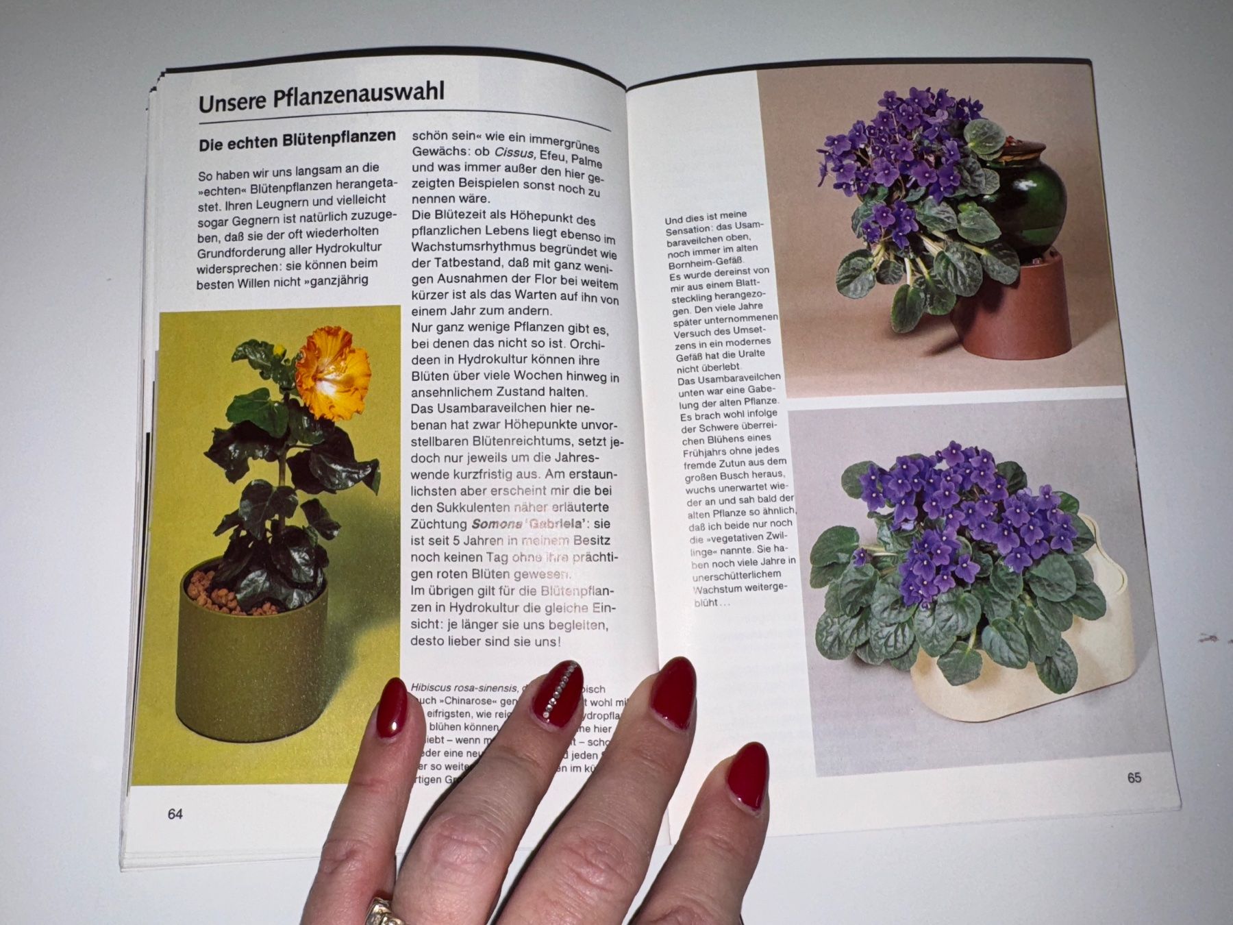 Bücher: Buch: 1x1 der Hydrokultur, Schubert/Blaichert – Gebraucht aus Grosswangen von Second_hand_paradise 4