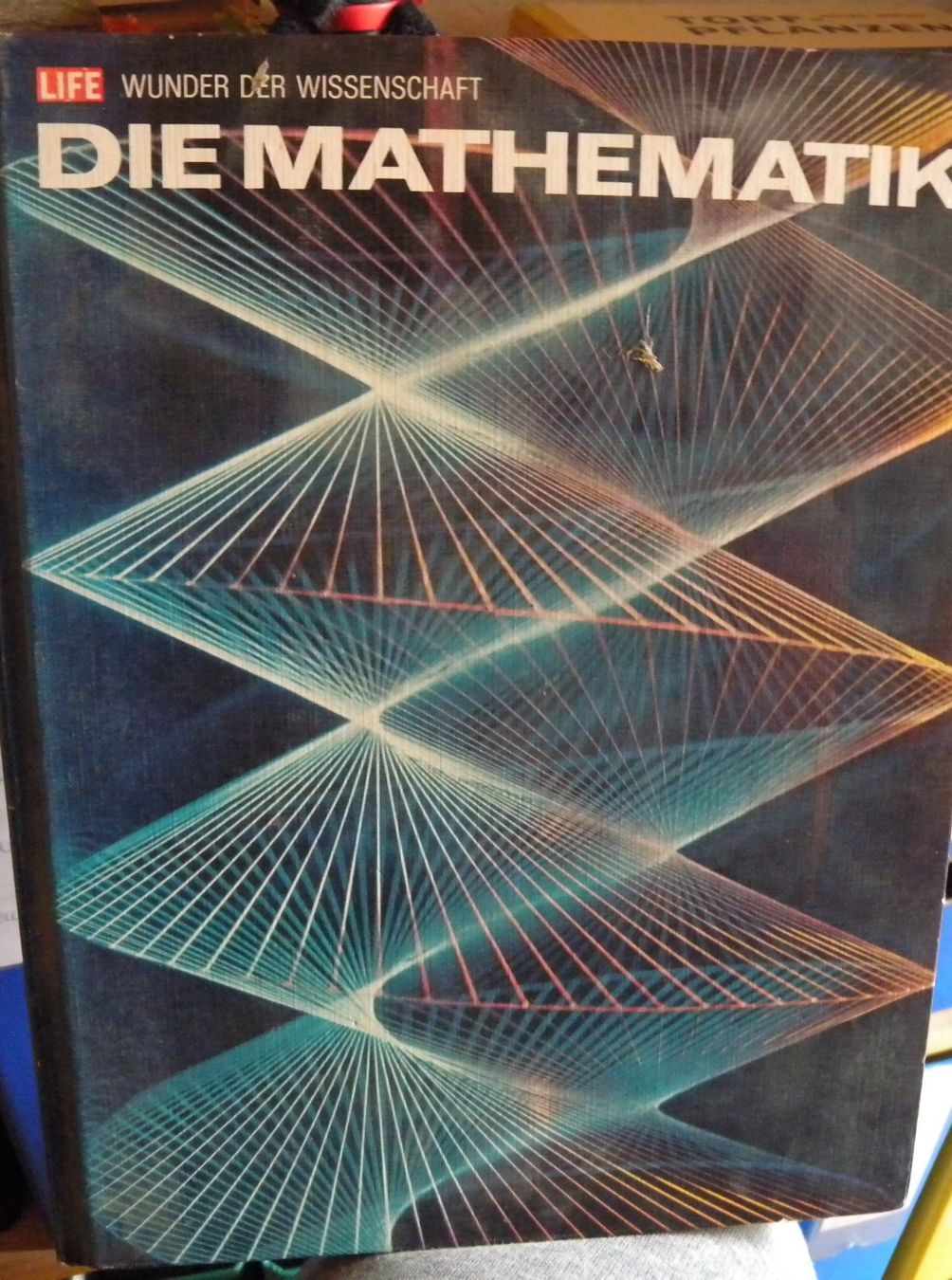 Libri: DIE MATHEMATIK - Wunder der Wissenschaft Buch – Usato da Hauenstein venduto da davia72