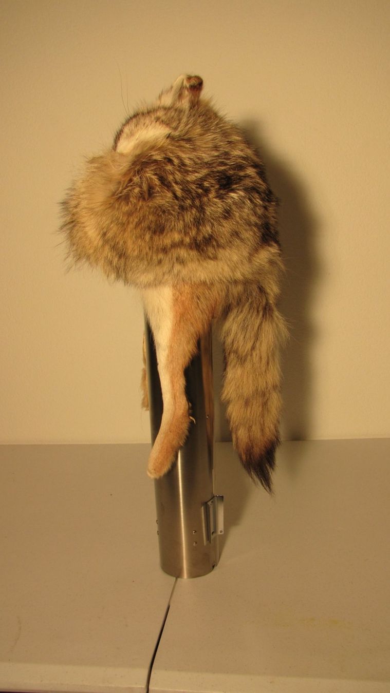 Copricapi, berretti & cappellini: Trapper Coyote Cap – Usato da Silvaplana venduto da burton016 1