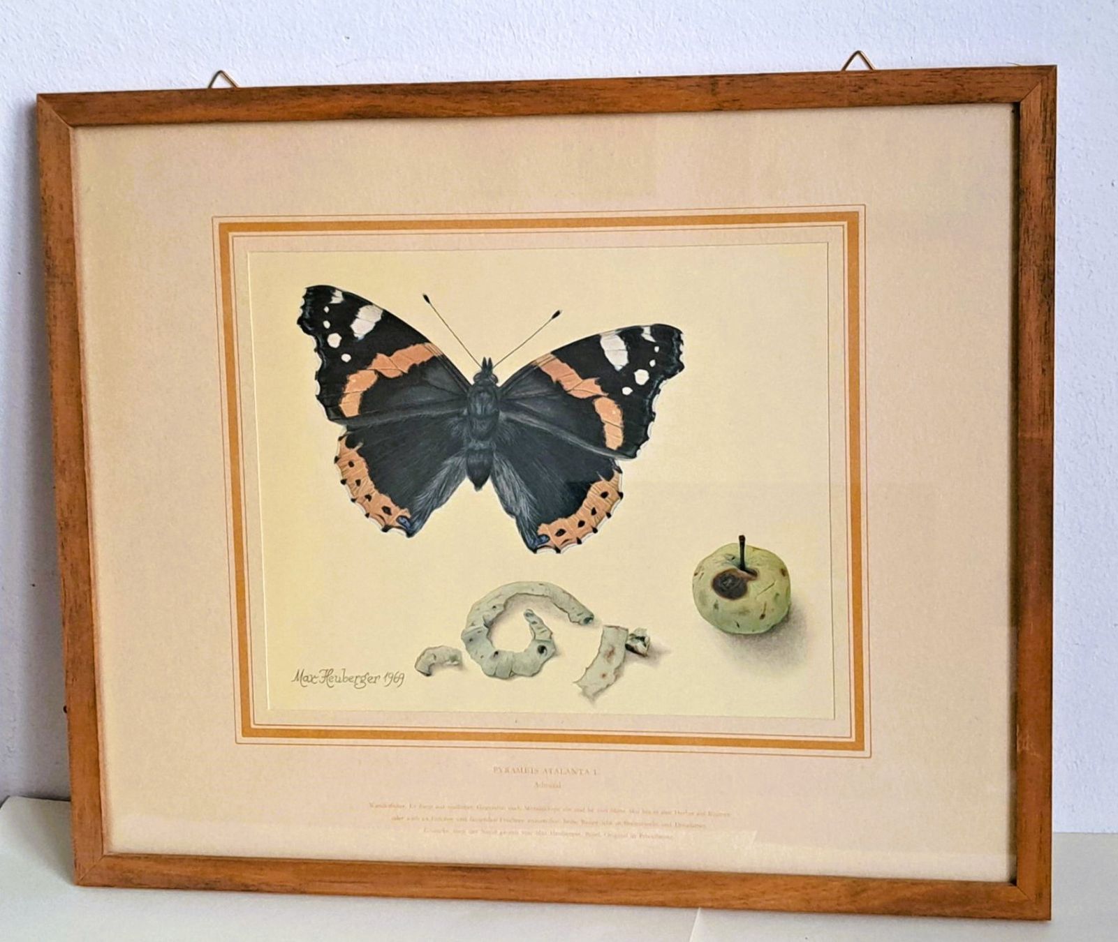 Foto & Immagini: Max Heuberger, Basel, Schmetterling: Admiral, 1969 – Usato da Basel venduto da Patiscat