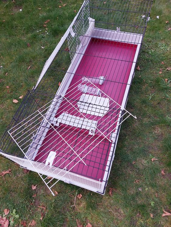 Käfig Kaufen auf Ricardo