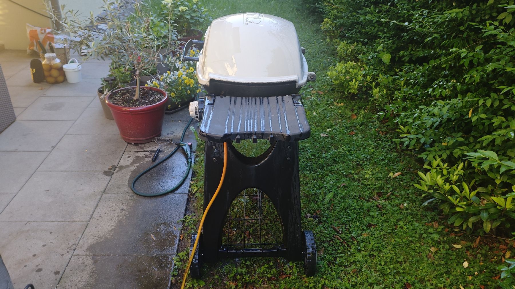 Griglie: Weber Q 300 BUTN/PROPN BBQ grill – Usato da Zürich venduto da lau_nmx8 8