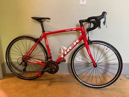 Rennrad Trek Domane ALR 4 56cm Viper Red