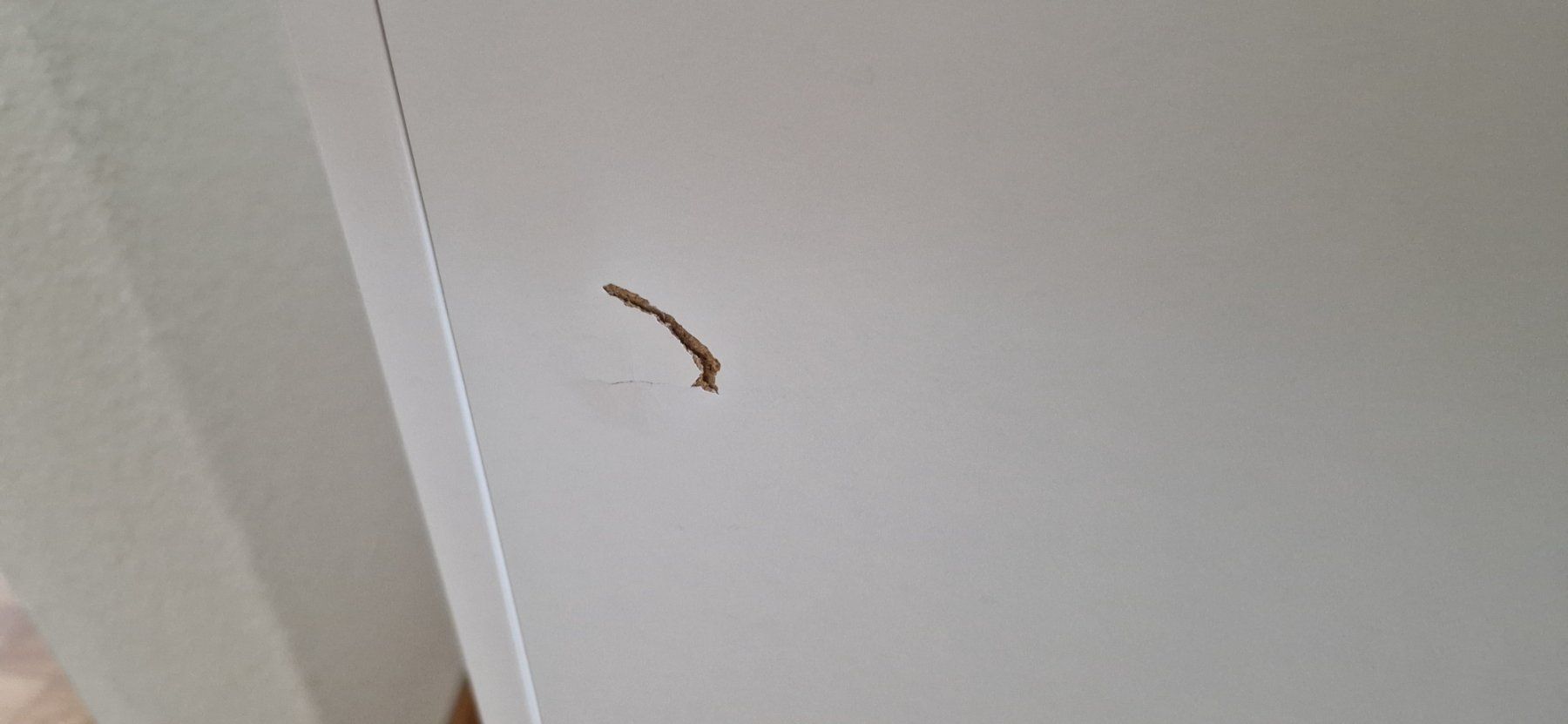 Ikea Armadi: Schrank Ikea ab 1.- – Usato da Unterentfelden venduto da Krockus 4