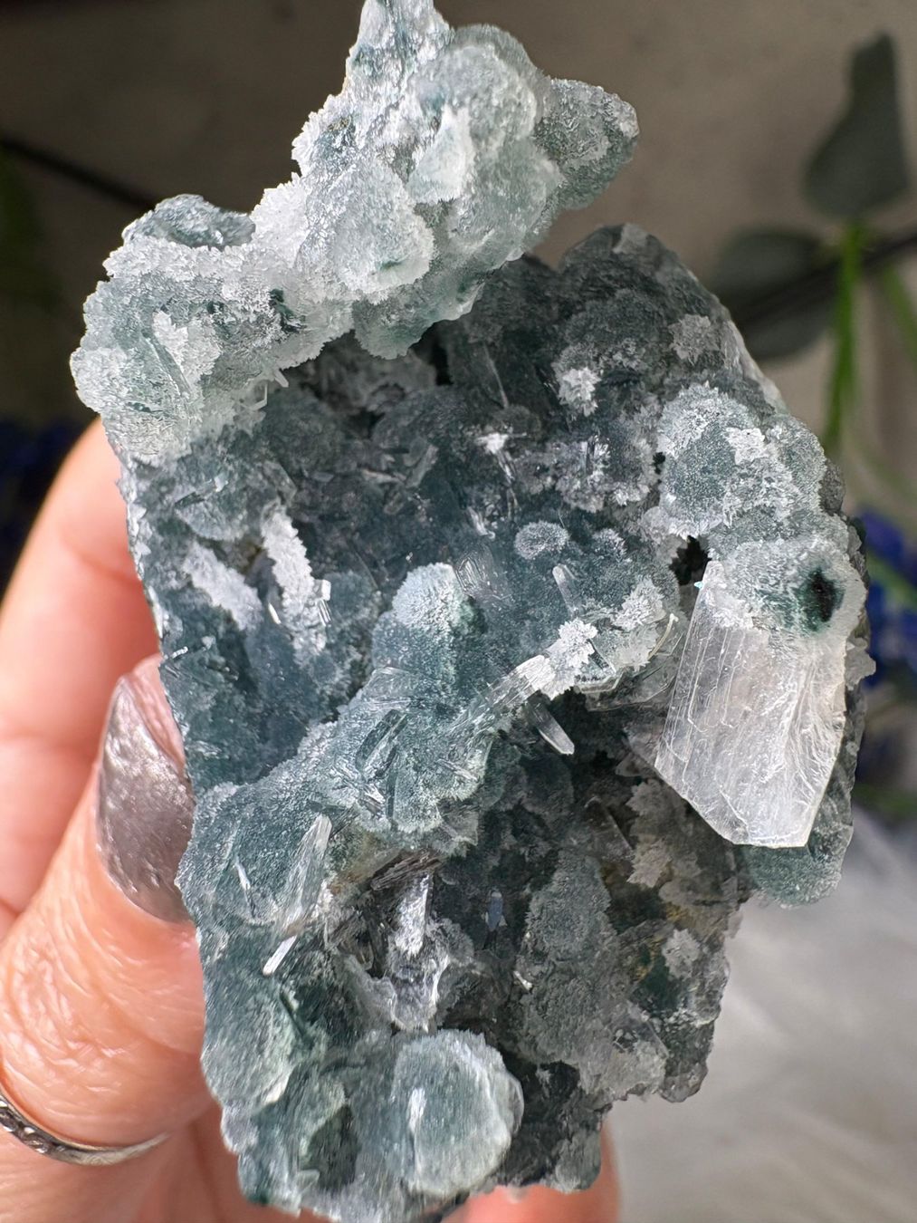 Minerali & Pietre curative: Chalcedon-Stalaktit mit Heulandit – Nuovo e nell'imballaggio originale da Neuheim venduto da m.hald